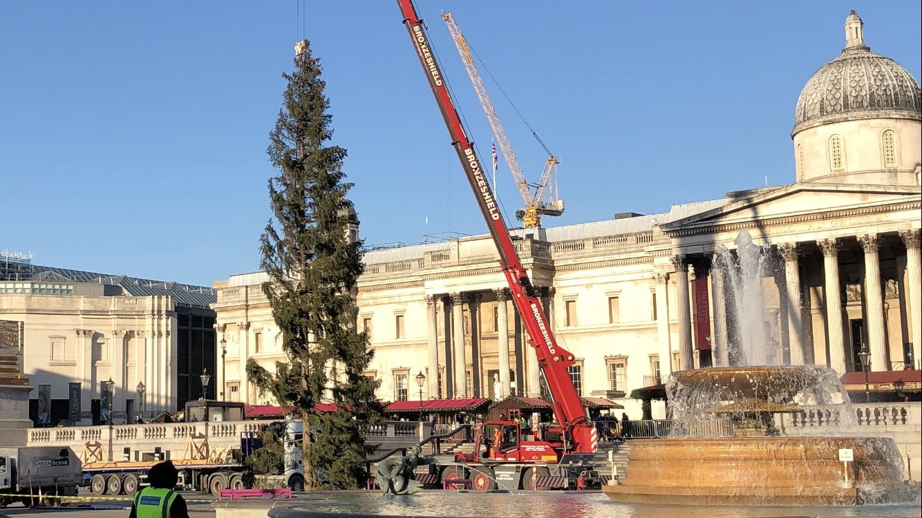 Det fattige juletreet på Trafalgar Square i 2019